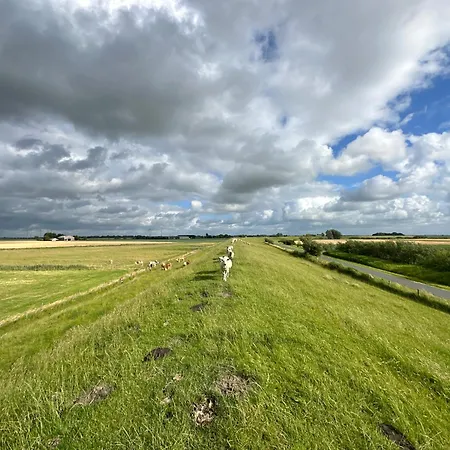 Haabo * Buettlerdeich